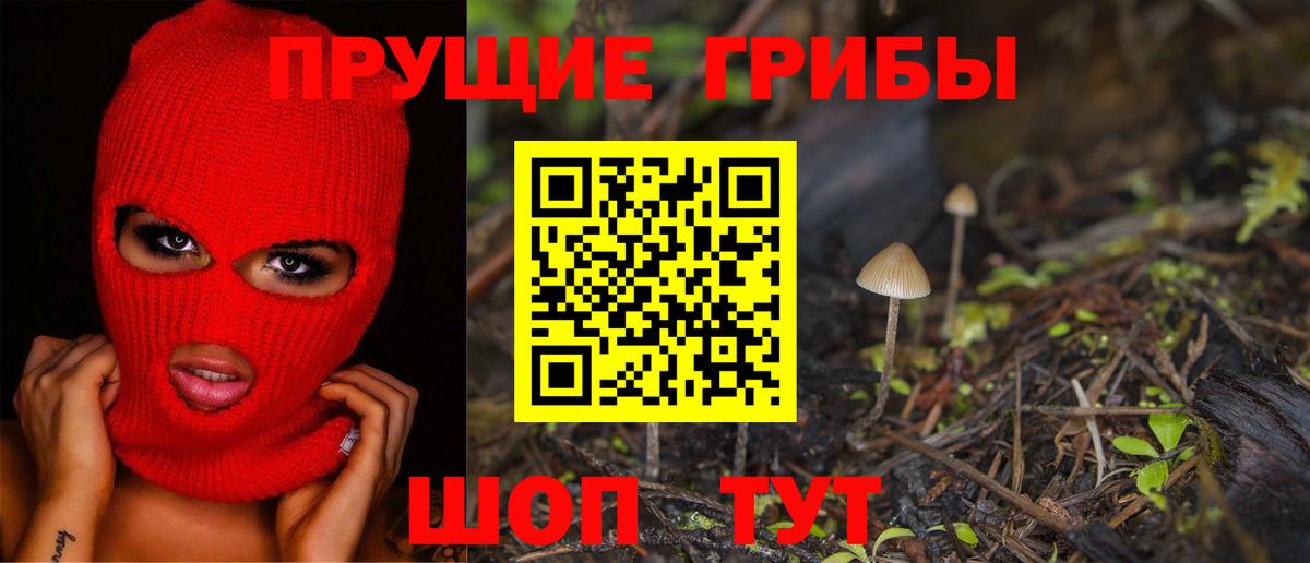Псилоцибиновые грибы Psilocybe  Вход с VPN  Ивантеевка 