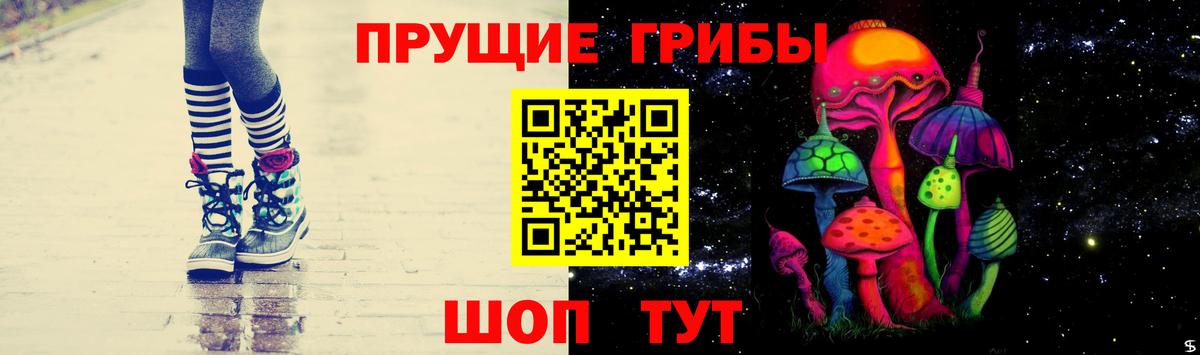 Псилоцибиновые грибы Psilocybine cubensis Ивантеевка